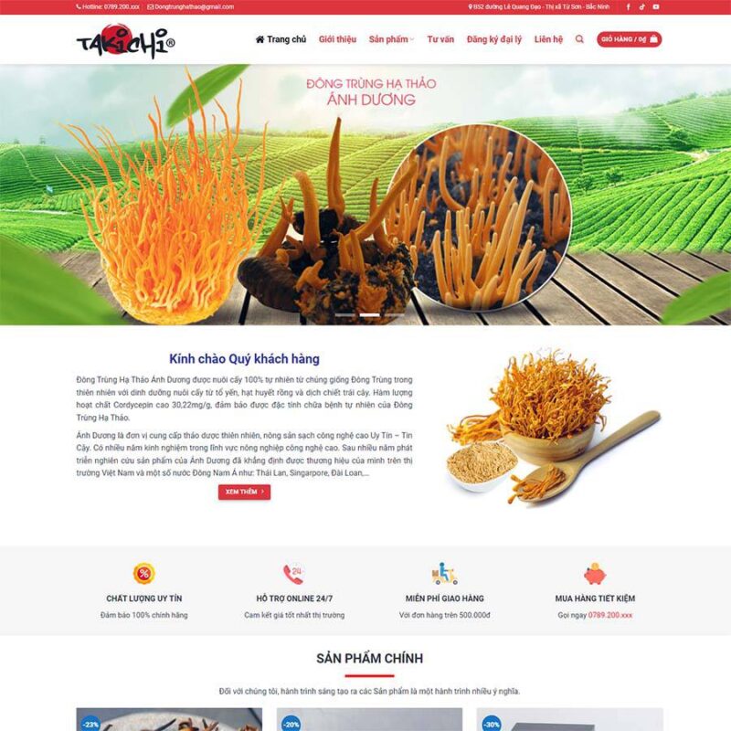 Theme WordPress đông trùng hạ thảo, Thực phẩm, Đông trùng hạ thảo