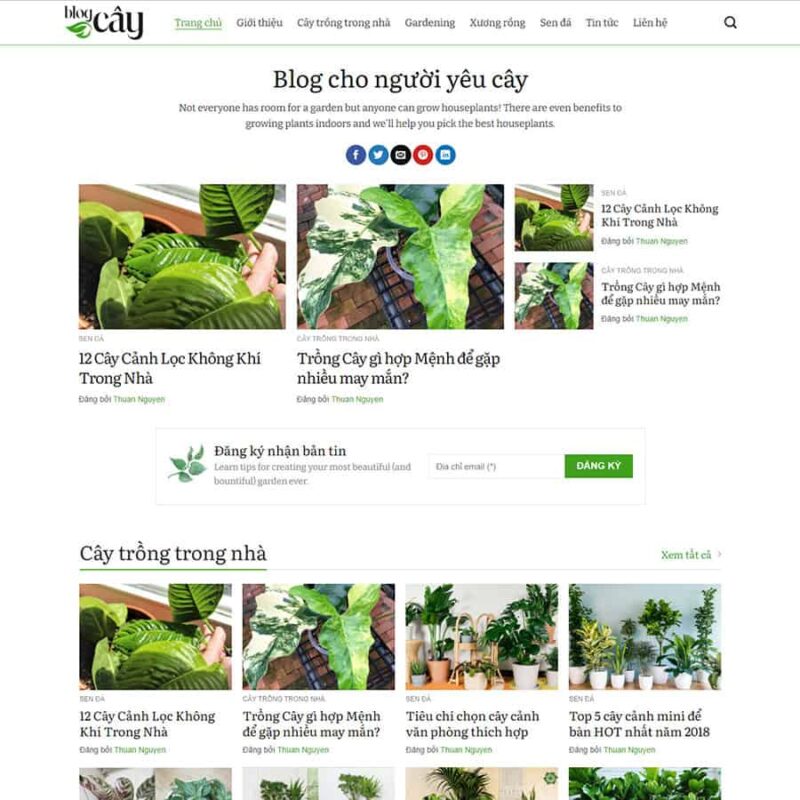 Theme WordPress tin tức 12, Tin tức, Blog